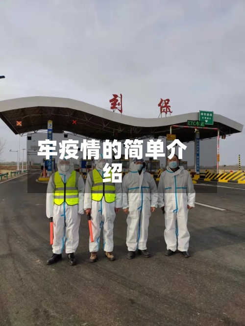 牢疫情的简单介绍-第3张图片