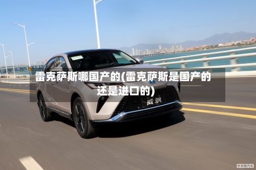 雷克萨斯哪国产的(雷克萨斯是国产的还是进口的)-第1张图片