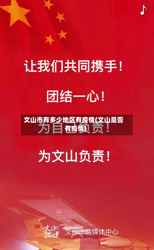 文山市有多少地区有疫情(文山是否有疫情)-第2张图片