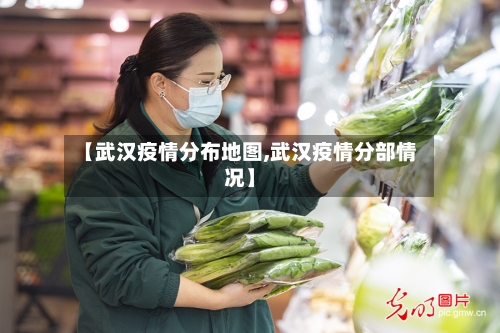 【武汉疫情分布地图,武汉疫情分部情况】-第2张图片