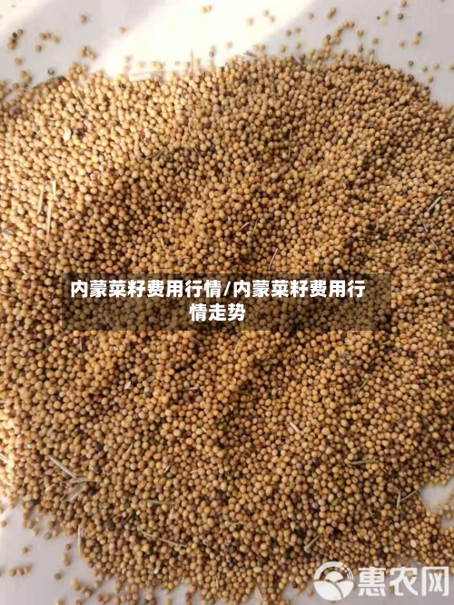 内蒙菜籽费用行情/内蒙菜籽费用行情走势-第2张图片