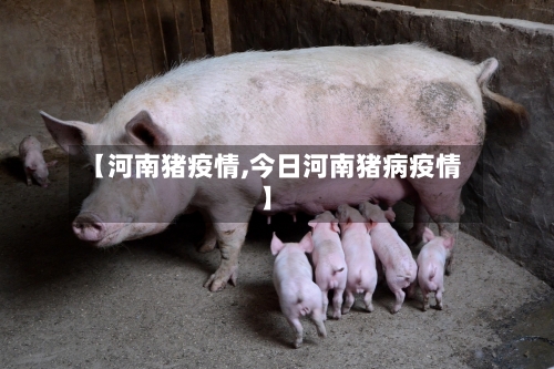 【河南猪疫情,今日河南猪病疫情】-第1张图片