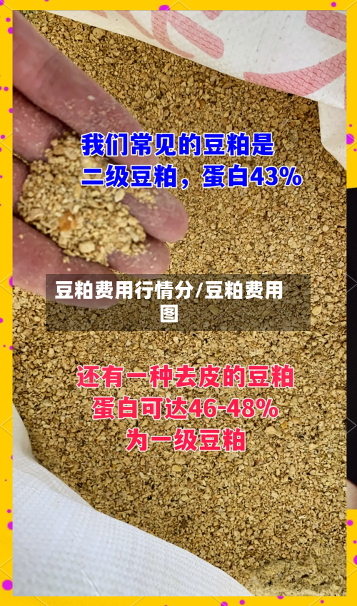 豆粕费用行情分/豆粕费用图-第2张图片
