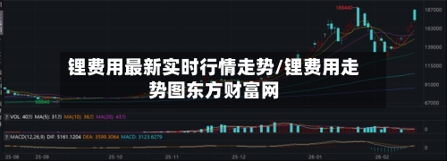 锂费用最新实时行情走势/锂费用走势图东方财富网-第2张图片
