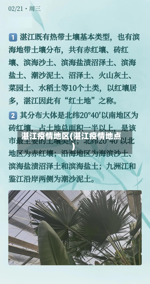 湛江疫情地区(湛江疫情地点)-第2张图片
