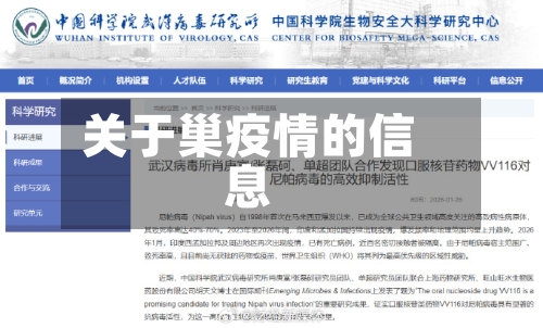 关于巢疫情的信息-第2张图片