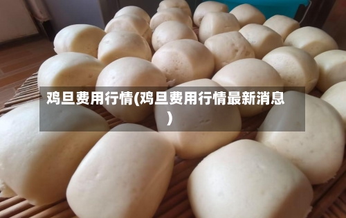 鸡旦费用行情(鸡旦费用行情最新消息)-第1张图片