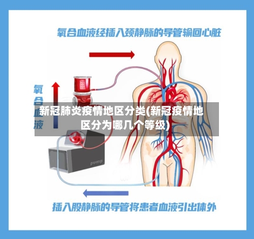 新冠肺炎疫情地区分类(新冠疫情地区分为哪几个等级)-第2张图片