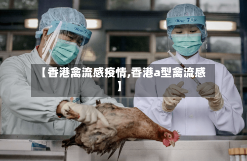 【香港禽流感疫情,香港a型禽流感】-第1张图片