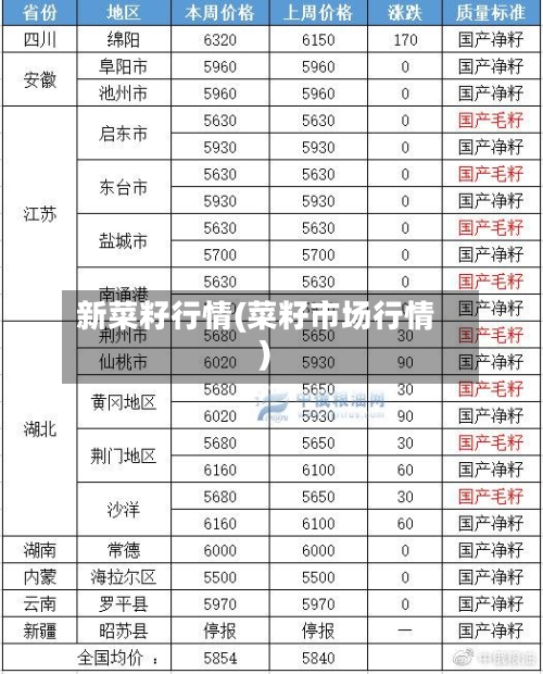 新菜籽行情(菜籽市场行情)-第2张图片