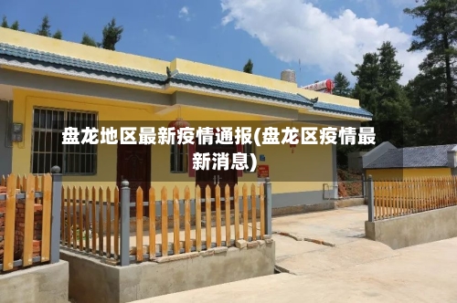 盘龙地区最新疫情通报(盘龙区疫情最新消息)-第2张图片