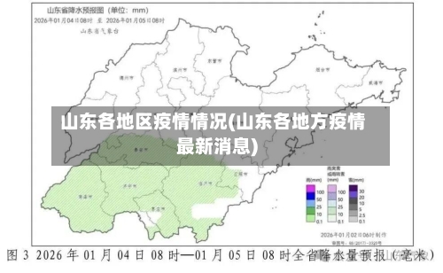 山东各地区疫情情况(山东各地方疫情最新消息)-第3张图片