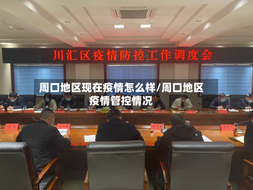 周口地区现在疫情怎么样/周口地区疫情管控情况-第3张图片