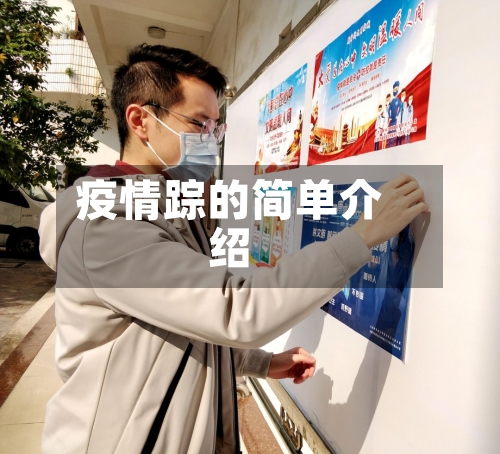 疫情踪的简单介绍-第2张图片