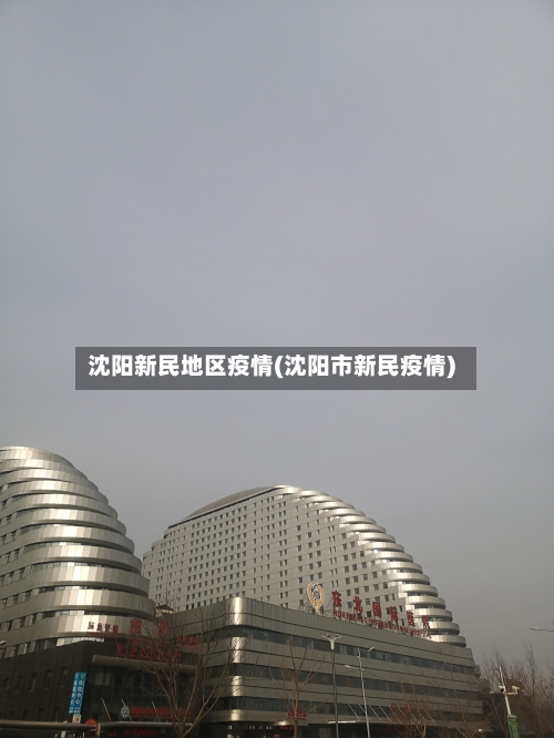 沈阳新民地区疫情(沈阳市新民疫情)-第3张图片