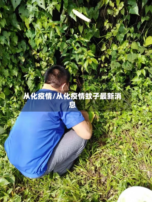 从化疫情/从化疫情蚊子最新消息-第2张图片