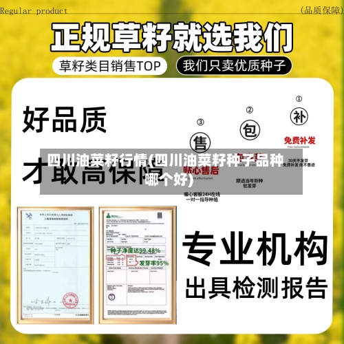 四川油菜籽行情(四川油菜籽种子品种哪个好)-第3张图片