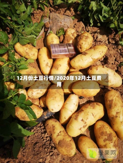 12月份土豆行情/2020年12月土豆费用-第3张图片