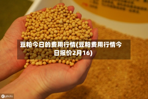 豆粕今日的费用行情(豆粕费用行情今日报价2月16)-第2张图片