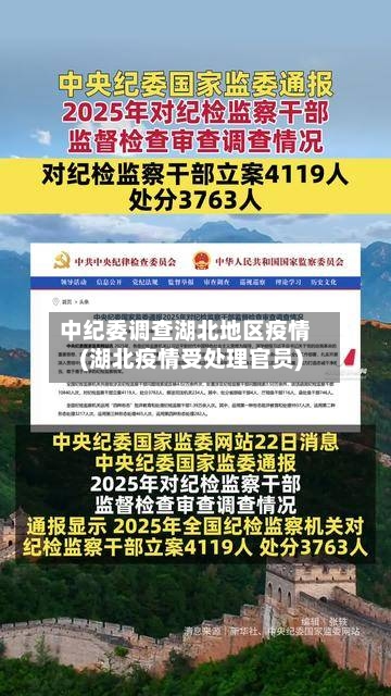 中纪委调查湖北地区疫情(湖北疫情受处理官员)-第1张图片