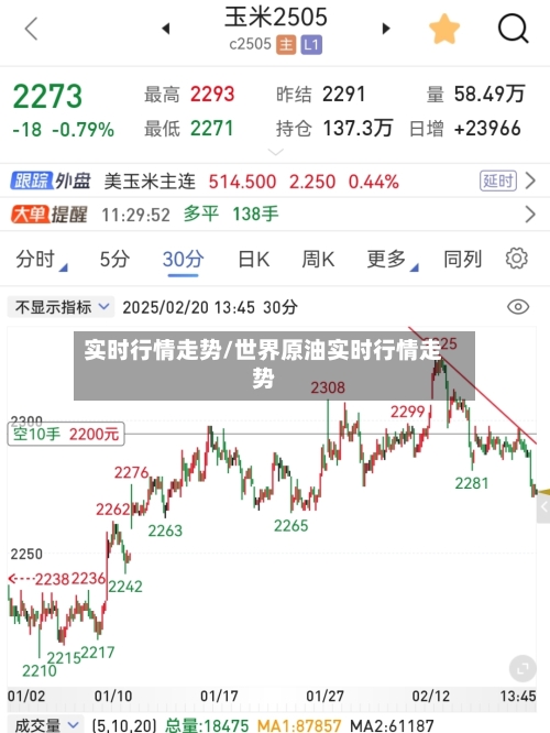 实时行情走势/世界原油实时行情走势-第2张图片