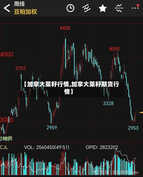 【加拿大菜籽行情,加拿大菜籽期货行情】-第2张图片