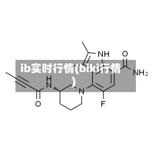 ib实时行情(biki行情)-第2张图片