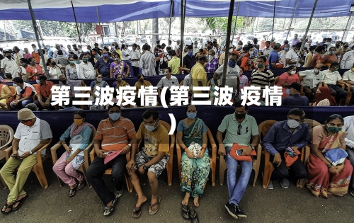 第三波疫情(第三波 疫情)-第1张图片