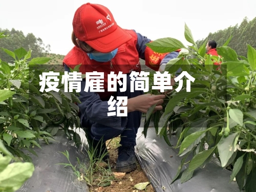 疫情雇的简单介绍-第1张图片