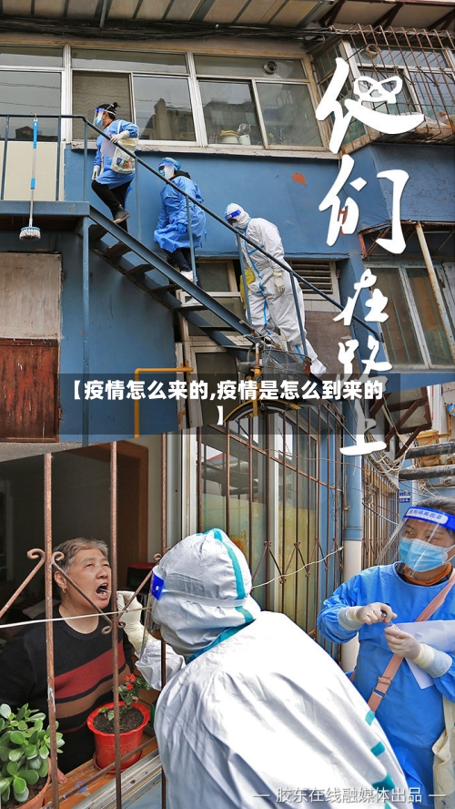 【疫情怎么来的,疫情是怎么到来的】-第1张图片