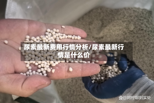 尿素最新费用行情分析/尿素最新行情是什么价-第1张图片