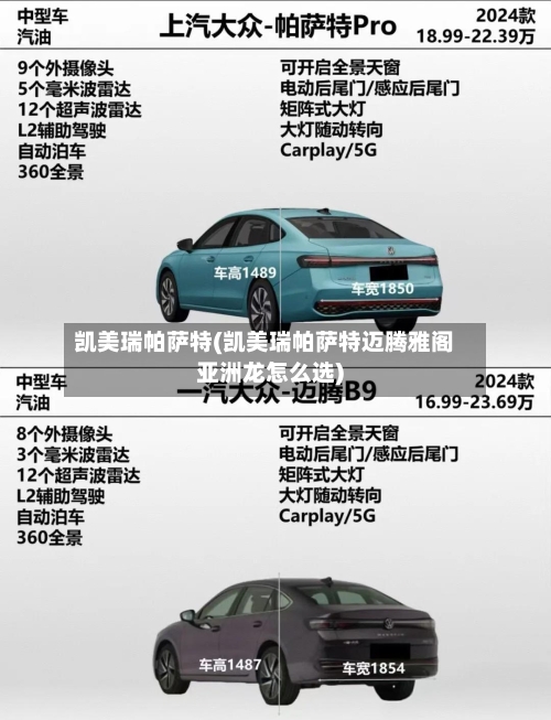 凯美瑞帕萨特(凯美瑞帕萨特迈腾雅阁亚洲龙怎么选)-第1张图片