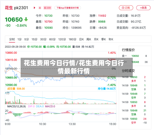 花生费用今日行情/花生费用今日行情最新行情-第2张图片
