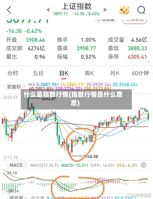 什么是指数行情(指数行情是什么意思)-第2张图片