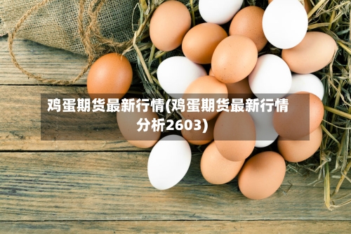 鸡蛋期货最新行情(鸡蛋期货最新行情分析2603)-第2张图片