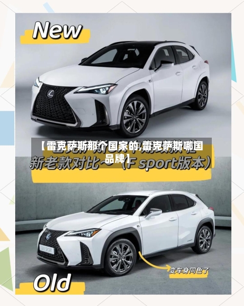 【雷克萨斯那个国家的,雷克萨斯哪国品牌】-第3张图片