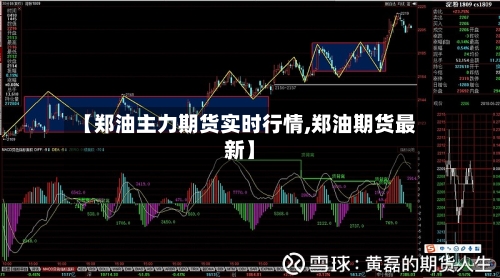 【郑油主力期货实时行情,郑油期货最新】-第2张图片