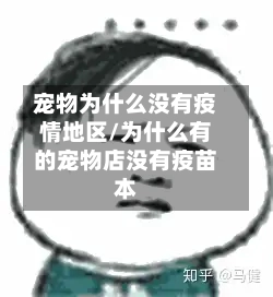 宠物为什么没有疫情地区/为什么有的宠物店没有疫苗本-第1张图片
