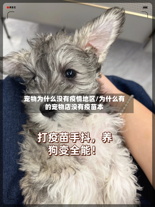 宠物为什么没有疫情地区/为什么有的宠物店没有疫苗本-第3张图片