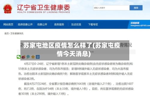 苏家屯地区疫情怎么样了(苏家屯疫情今天消息)-第2张图片