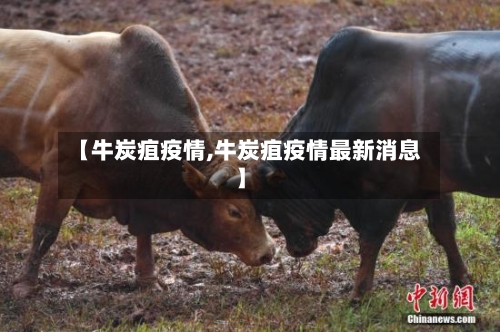 【牛炭疽疫情,牛炭疽疫情最新消息】-第1张图片