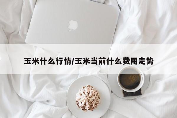 玉米什么行情/玉米当前什么费用走势