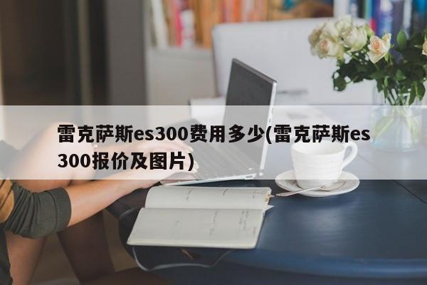 雷克萨斯es300费用多少(雷克萨斯es300报价及图片)