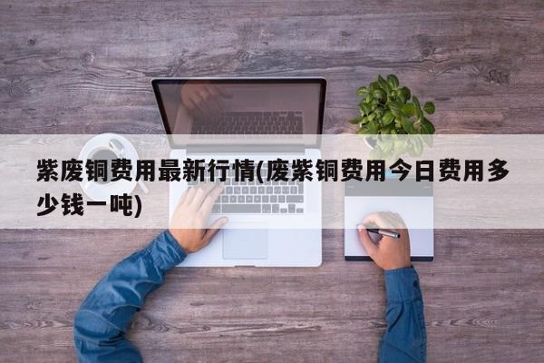 紫废铜费用最新行情(废紫铜费用今日费用多少钱一吨)