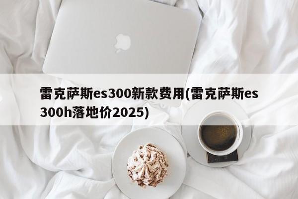 雷克萨斯es300新款费用(雷克萨斯es300h落地价2025)
